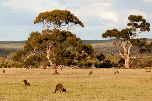 Australia