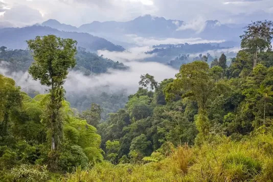 Ecuador