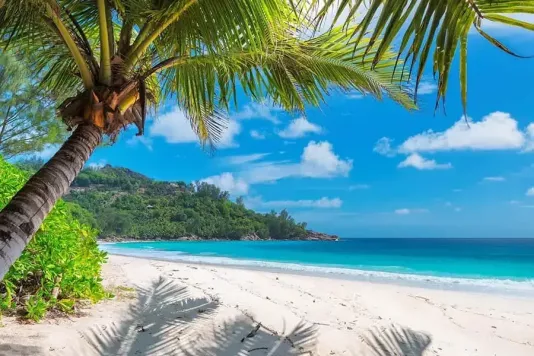 Jamaica