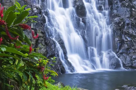 Micronesia