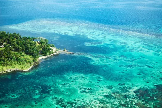 Papua New Guinea