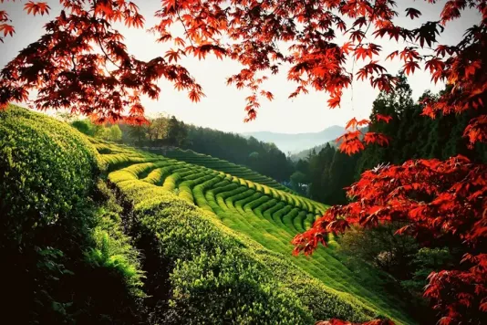 South Korea