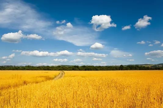 Ukraine
